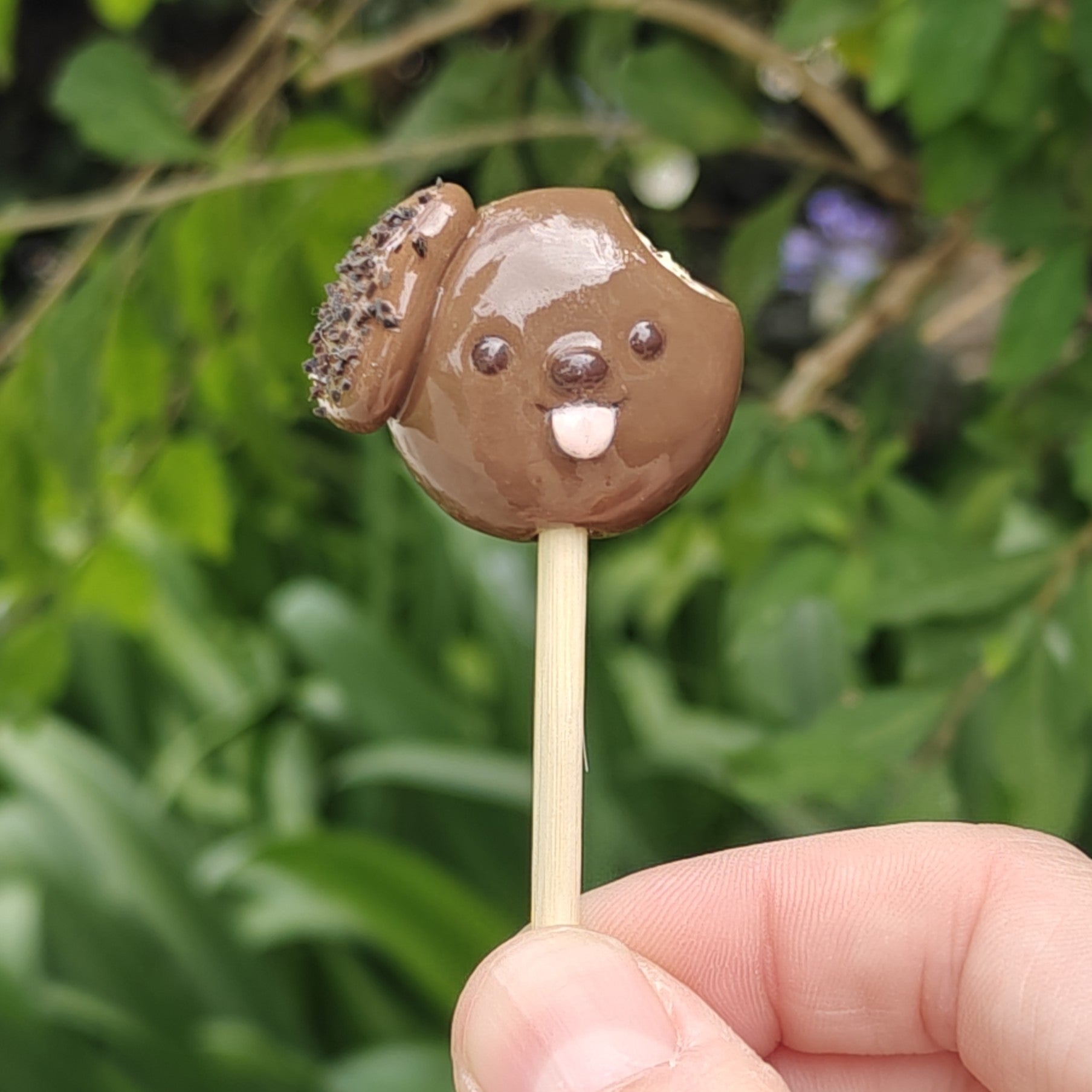 Cake Pup Magnets